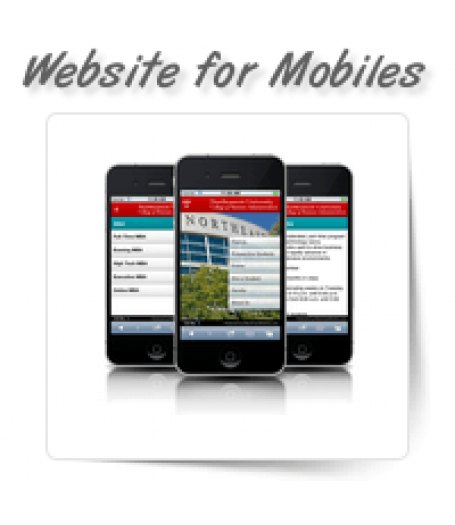 Website for Mobiles & Tablets