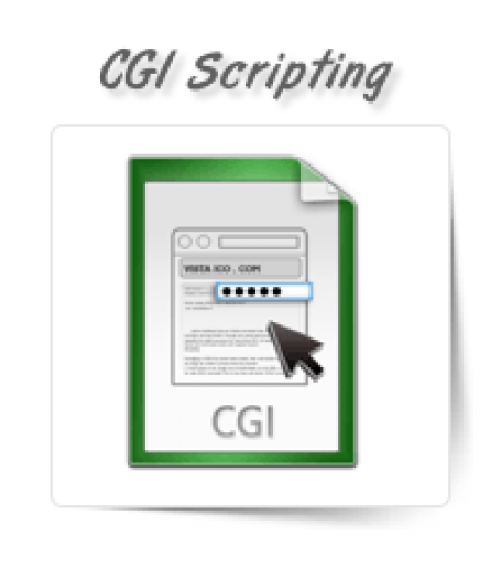 CGI & Perl Scripting