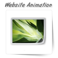 Flash Website Animation