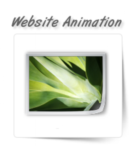 Flash Website Animation