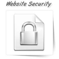 Website Security Updates