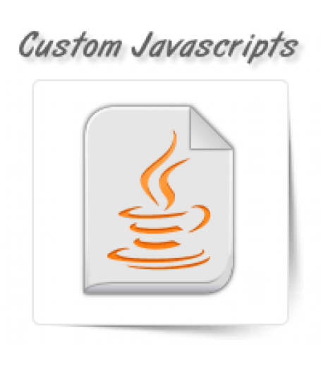 Custom Javascripts