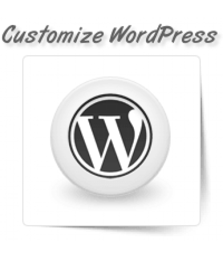 WordPress Template Customization