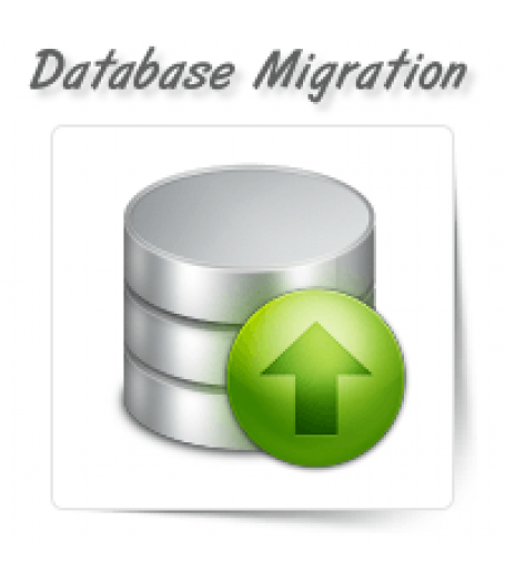 Database Migration