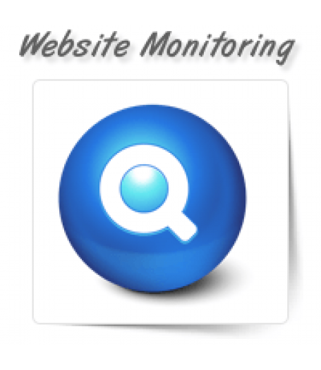 Website Performance Monitoring