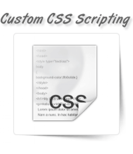 Custom CSS Scripting