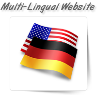 Multilingual Website Redesigning