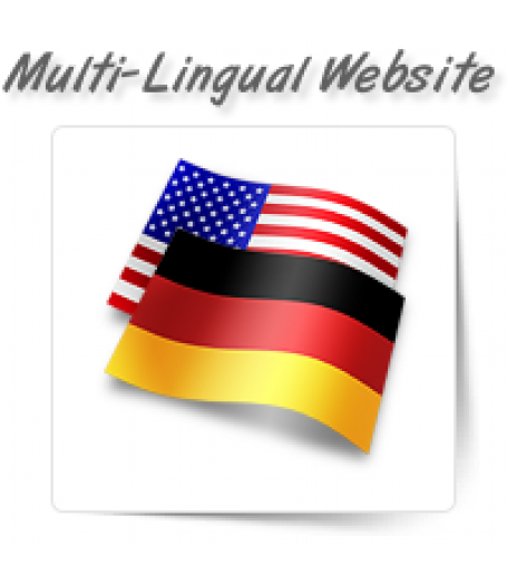 Multilingual Website Redesigning